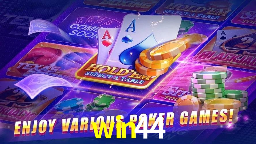 win44 Logo 2